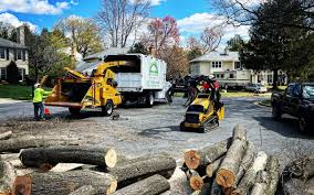 Best Tree Disease Treatment  in Coopersville, MI